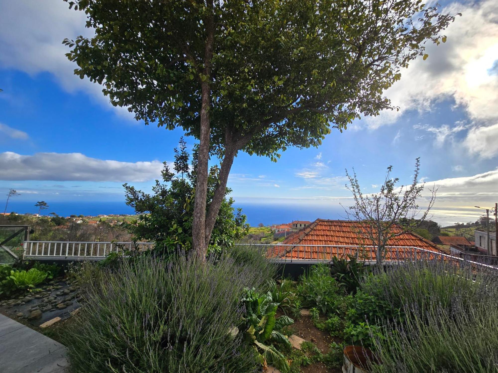 Horizon Retreat Leilighet Calheta  Eksteriør bilde